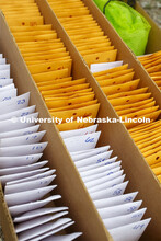 Packets of seeds are ready to plant. James Schnable corn research group plants at agronomy fields at
