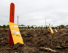 Packets of seed corn lean against their row markers while awaiting planting. James Schnable's group 