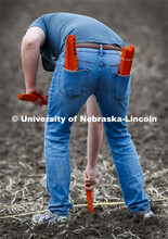 Nate Pester marks the rows. James Schnable's group hand plants corn and sorghum seeds at the East Ca