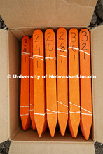 A box of row markers await their turn. James Schnable's group hand plants corn and sorghum seeds at 