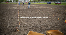 Guangchao Sun plants his section of the field. James Schnable's group hand plants corn and sorghum s