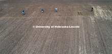 James Schnable's group hand plants corn and sorghum seeds at the East Campus ag fields. May 20, 2020