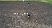 James Schnable's group hand plants corn and sorghum seeds at the East Campus ag fields. May 20, 2020