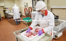 Gary Sullivan, Associate Professor in Animal Science, moves pork picnic roasts into the shrink-wrapp