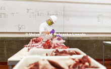 David Velazco, a masters student in Animal Science, cuts a pork carcass Thursday. UNL's Loeffel Meat
