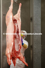 David Velazco, a masters student in Animal Science, moves a pork carcass into the meat lab Thursday.