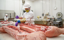 David Velazco, a masters student in Animal Science, cuts a pork carcass Thursday. UNL's Loeffel Meat