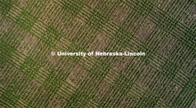 Drone footage shows planting patterns from the air over University of Nebraska’s East campus ag re