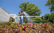 Karen Wilson with Landscape Services waters the flowers outside of the Sheldon Art Museum on City Ca