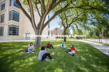 A group of students wearing masks and practice social distancing hangout under a tree on City Campus
