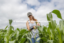 Mackenzie Zwiener, a graduate student in agronomy, takes a photosynthesis measurement of a corn leaf