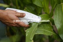 Ravi Mural, post doc in agronomy, takes a photosynthesis measurement of a corn leaf in the research 
