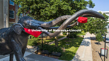 Archie the mammoth sculpture wears a mask outside of the University of Nebraska State Museum in Morr