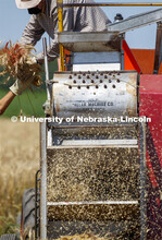 Wheat is harvested by plot planting on Stephen Baenziger, professor and Wheat Growers Presidential C
