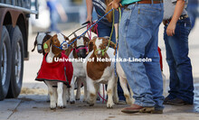 Kids day at the fair. The Platte County Fair in Columbus, NE, changed this year because of COVOD-19.
