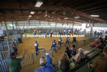The Platte County Fair in Columbus, NE, changed this year because of COVOD-19. Each livestock/animal