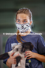 Alyvea Groteluschen of Columbus, Nebraska, eyes the judge during the junior showmanship sheep compet
