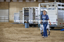 Atley Groteluschen of Columbus, Nebraska, walks her sheep toward the show ring. Participants worked 