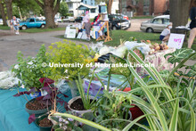 Plants and food for sale at the F Street Farmers Market in Lincoln, Nebraska. July 21, 2020. 