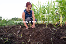 After preparing the soil, Rabaka Grung of Omaha plants cucumber seedlings at Cooper Farm in Omaha, N