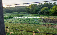 Garden plots at Cooper Farm in Omaha, Nebraska. July 22, 2020. 