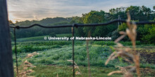 Garden plots at Cooper Farm in Omaha, Nebraska. July 22, 2020. 