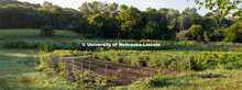 Garden plots at Cooper Farm in Omaha, Nebraska. July 22, 2020. 