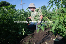 Master Gardeners work the garden at Cooper Farm in Omaha, Nebraska. July 22, 2020. 