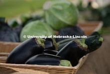 Eggplant and cabbage for sale at the Fallbrook Farmers Market in northwest Lincoln, Nebraska. July 2