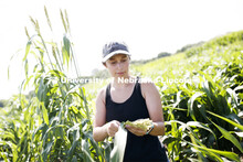 Grad student Mackenzie Zwiener, bands sorghum plots and also measures leaf angles in her UNL researc