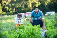 Lincoln families work their garden area at Prairie Pines in east Lincoln. July 27, 2020. 