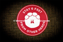 Stickers with elephant feet help patrons keep social distancing in the museum. The Nebraska State Mu