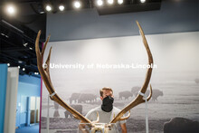 Zak Kathol wears a mask as he looks over exhibits in the Cherish Nebraska exhibition. Nebraska State
