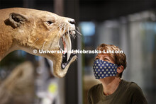 Pam Sniff looks over a maskless Barbourofelis fricki in the new Cherish Nebraska hall. Nebraska Stat