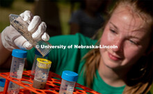 Natalie Keller, a Junior at Seward High School, drains the water off corn roots so the soil can be t