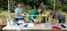 Natalie Keller and Remi Christensen prepare corn roots for cutting then washing. They will be taking