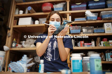 Kinga Aletto, junior in College of Agriculture Sciences and Natural Resources, works on a life-size 