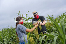 Mackenzie Zwiener, graduate student in agronomy and horticulture, and Professor James Schnable discu