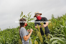 Mackenzie Zwiener, graduate student in agronomy and horticulture, and Professor James Schnable discu