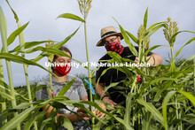 Mackenzie Zwiener, graduate student in agronomy and horticulture, and Professor James Schnable discu
