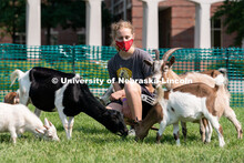 Freshman Morgan Rawlins gets surrounded by goats during Wellness Fest at Meier Commons. August 22, 2