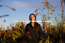 Graduate student Mackenzie Zwiener looks over ripe sorghum plants in her test field northeast of 84t