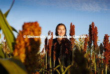 Graduate student Mackenzie Zwiener looks over ripe sorghum plants in her test field northeast of 84t
