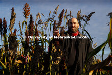 Professor James Schnable and graduate student Mackenzie Zwiener look over ripe sorghum plants in Zwi