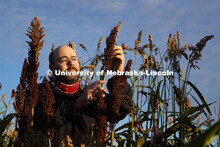 Professor James Schnable and graduate student Mackenzie Zwiener look over ripe sorghum plants in Zwi
