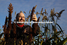 Professor James Schnable and graduate student Mackenzie Zwiener look over ripe sorghum plants in Zwi
