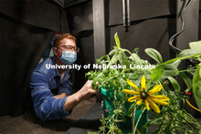 Levi McKercher, graduate student in School of Natural Resources, moves a plant under the scan lens i