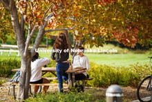 Students grab a bite to eat under the trees on City Campus. October 5, 2020. 