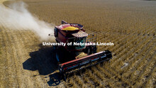 A combine works through a soybean field west of Firth, NE. Fall Harvest. October 6, 2020. 