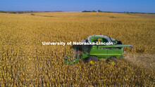 A combine works through a corn field north of Adams, NE. Fall harvest. October 7, 2020. 